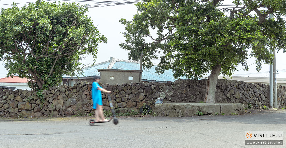 마을참견_사계리