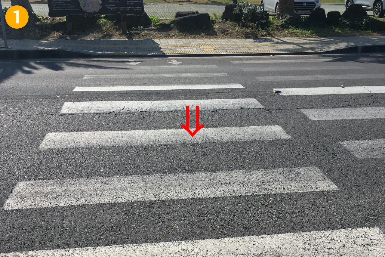 표선해수욕장앞신호등없음