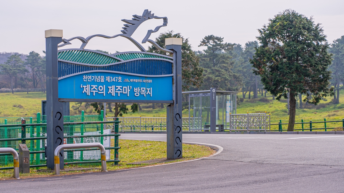 한라산이 빚은 절경 <5.16도로 여행지>