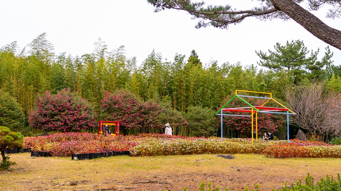 한라산이 빚은 절경 <5.16도로 여행지>