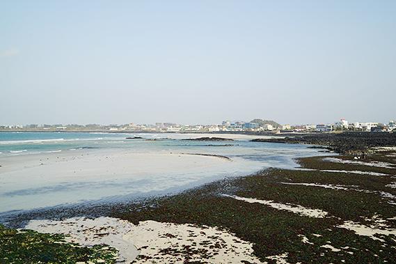 제주의 젖줄, 어머니의 품 <제주 전통 포구>