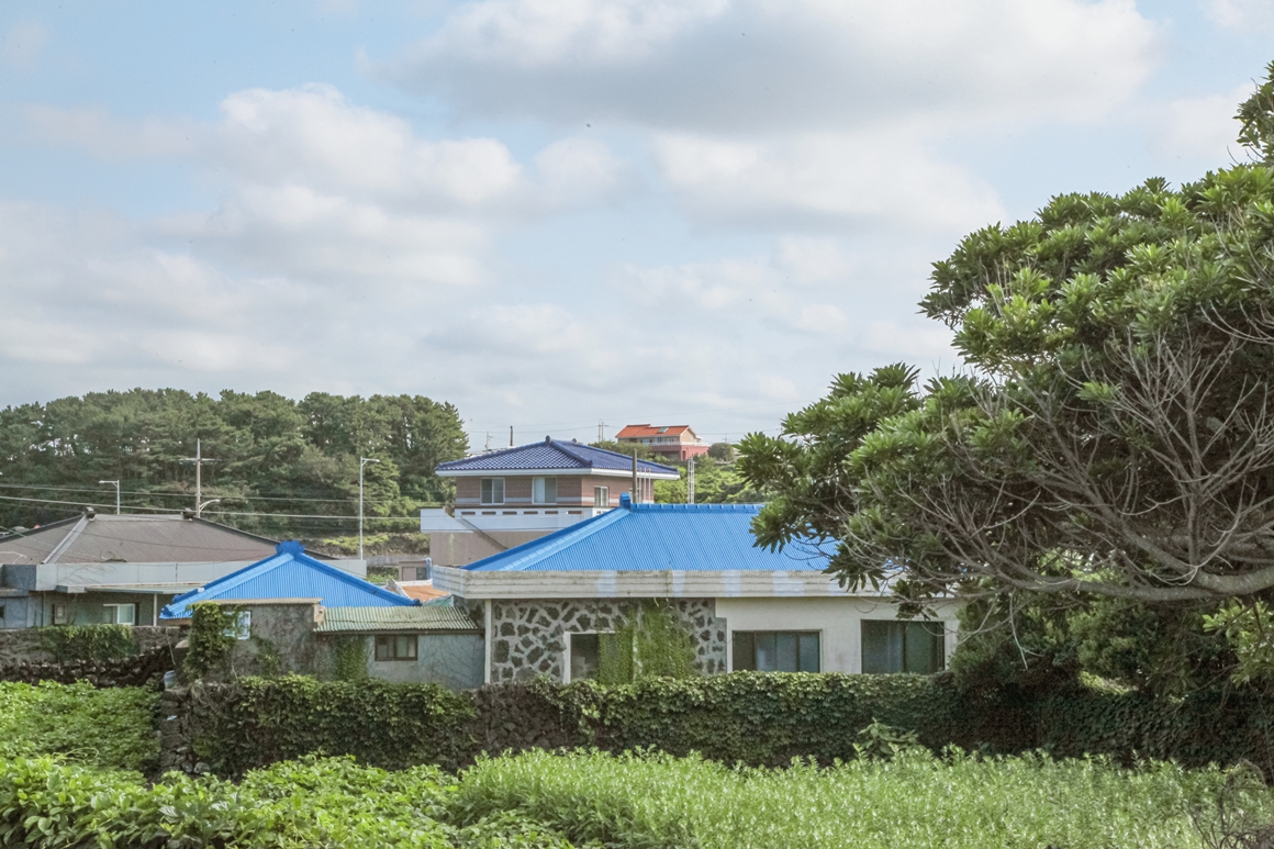 일상의 느긋한 섬에 스며드는 <나를 위한 제주 여행>