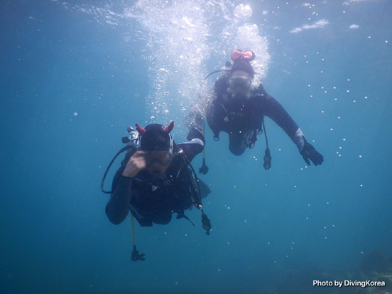 홀리데이다이빙코리아
