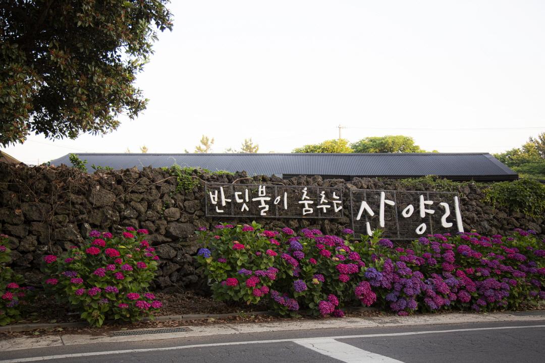 2024 산양 큰엉곶 반딧불이 탐방(1080*720)