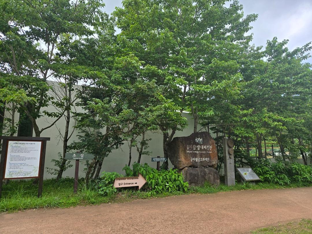 만원으로 초록초록 제주 즐기기