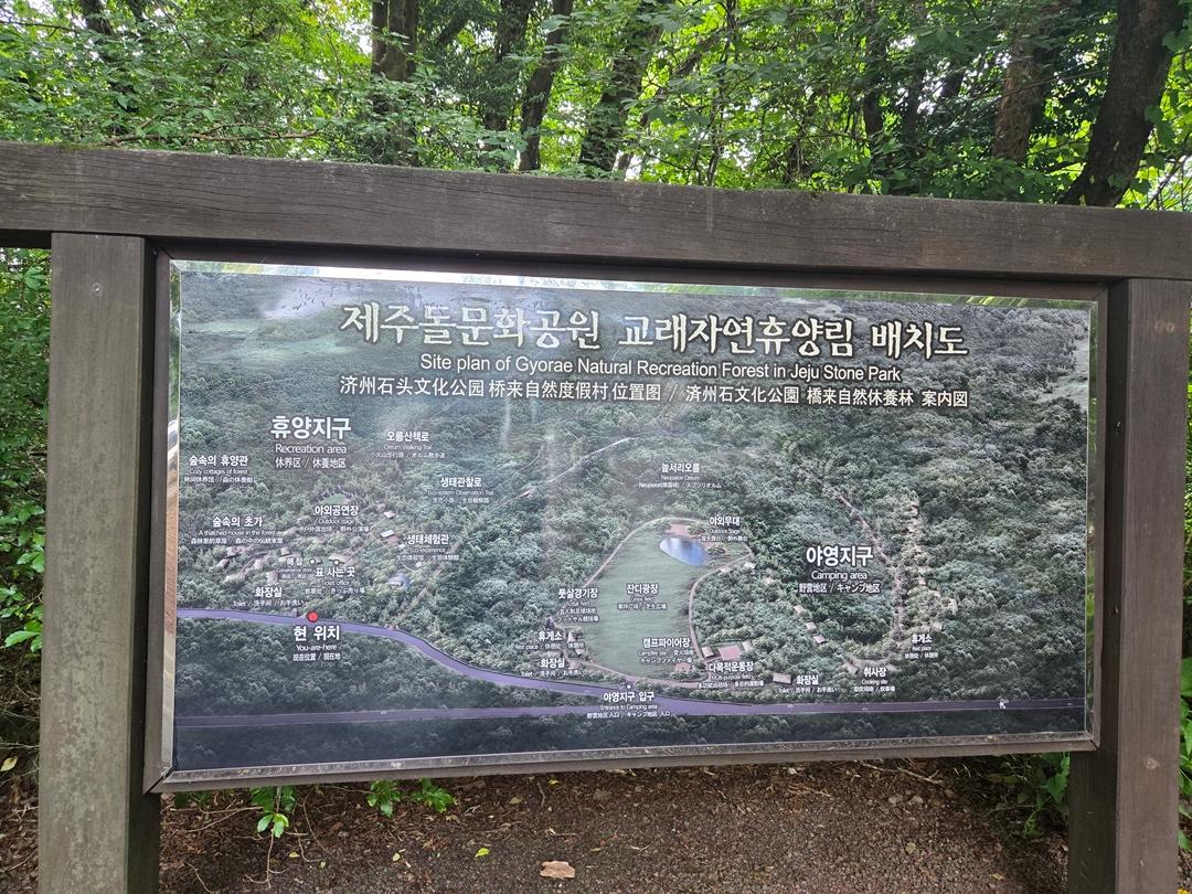 만원으로 초록초록 제주 즐기기