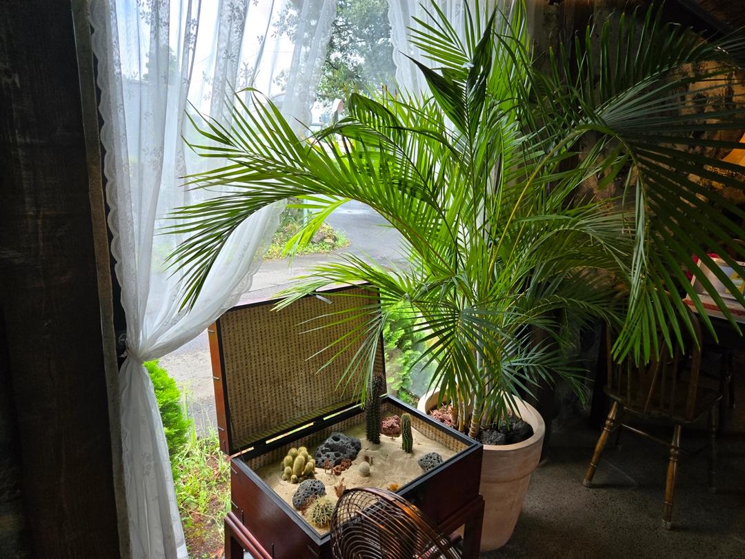 만원으로 초록초록 제주 즐기기