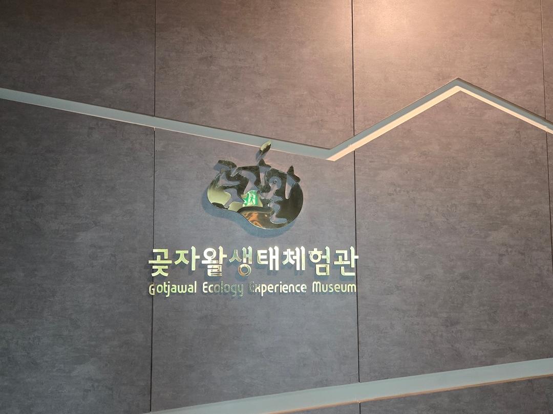 만원으로 초록초록 제주 즐기기