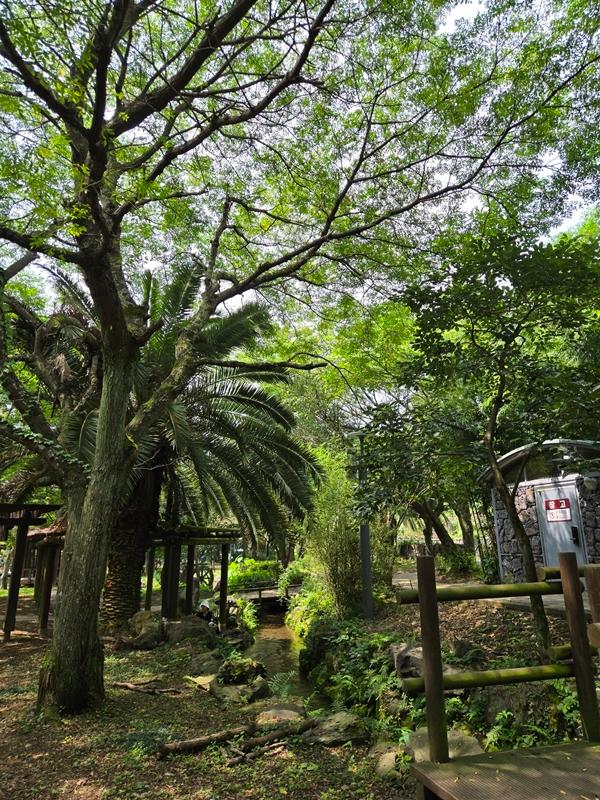 만원으로 제주에서 그린(GREEN) 샤워