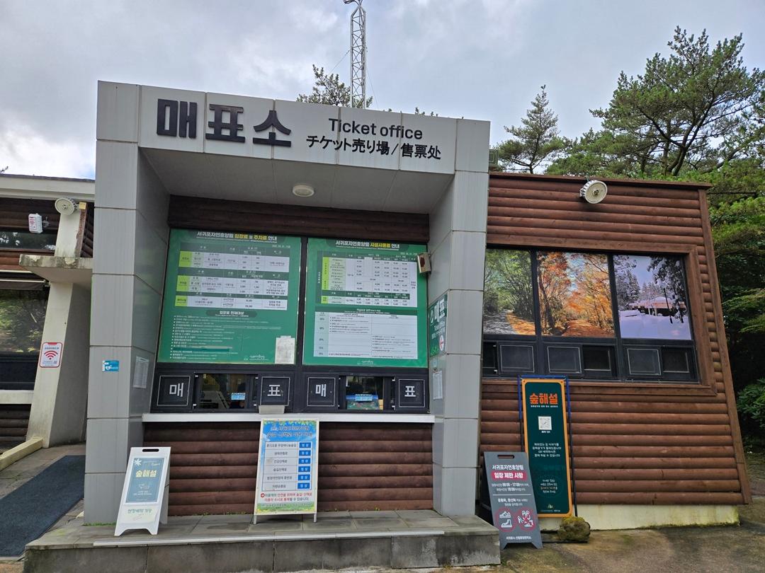 만원으로 제주에서 그린(GREEN) 샤워