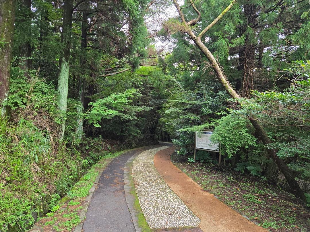 만원으로 제주에서 그린(GREEN) 샤워