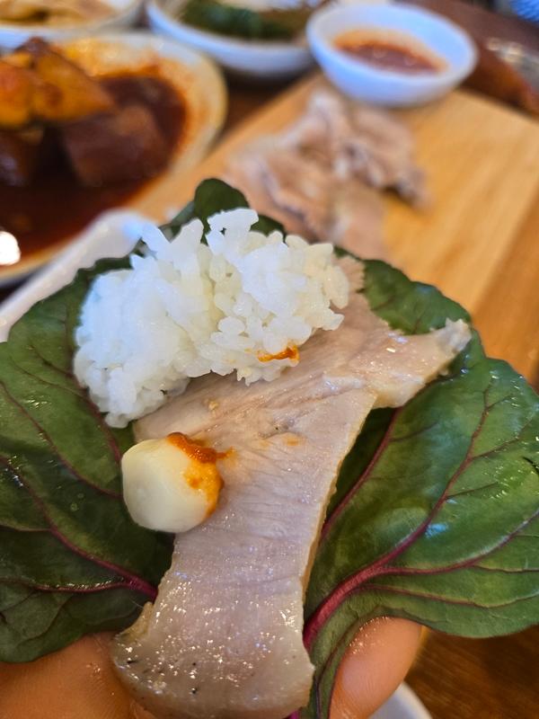 만원으로 제주에서 그린(GREEN) 샤워