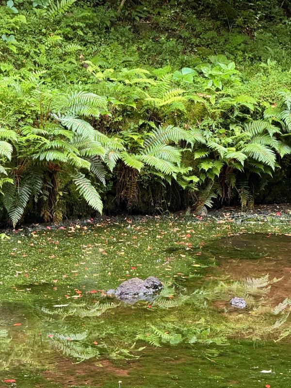 가을억새명소와 함께 가을타기