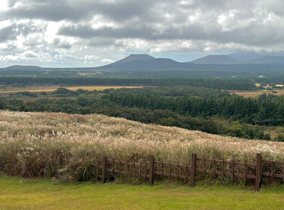 가을억새명소와 함께 가을타기