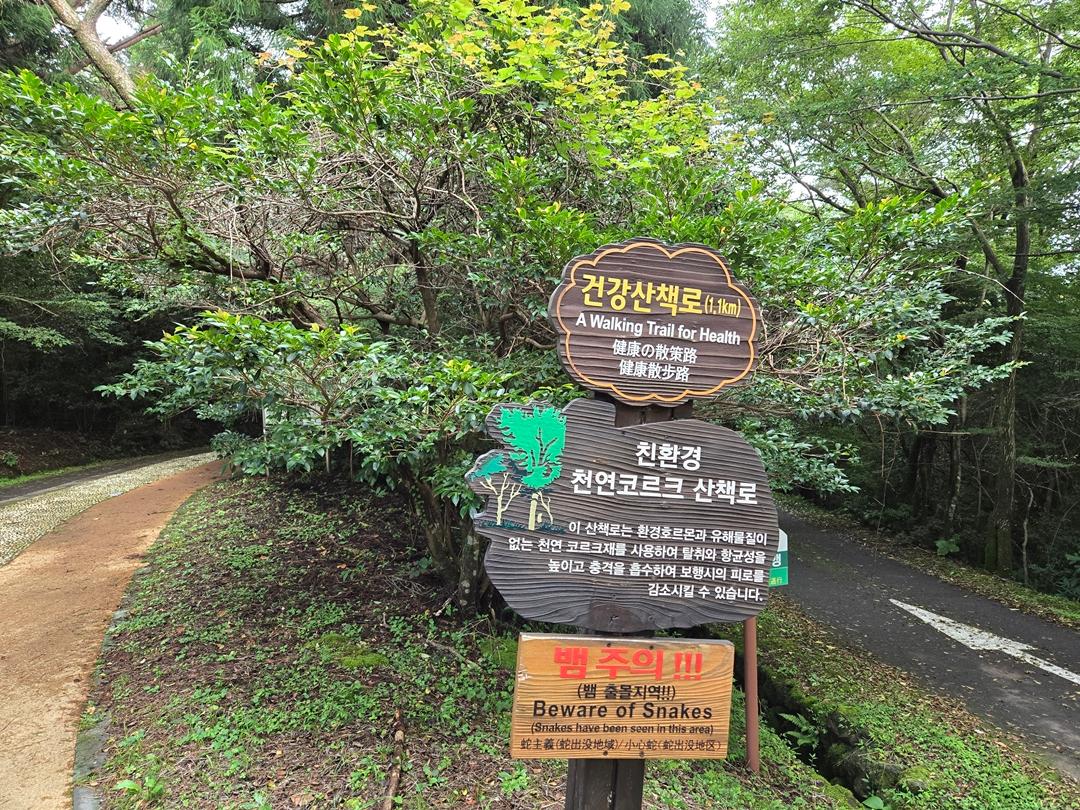 만원으로 제주에서 그린(GREEN) 샤워