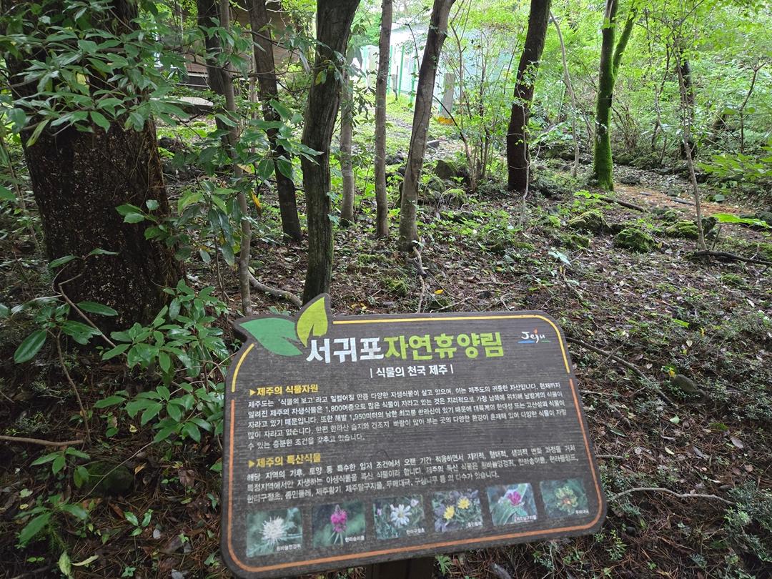 만원으로 제주에서 그린(GREEN) 샤워