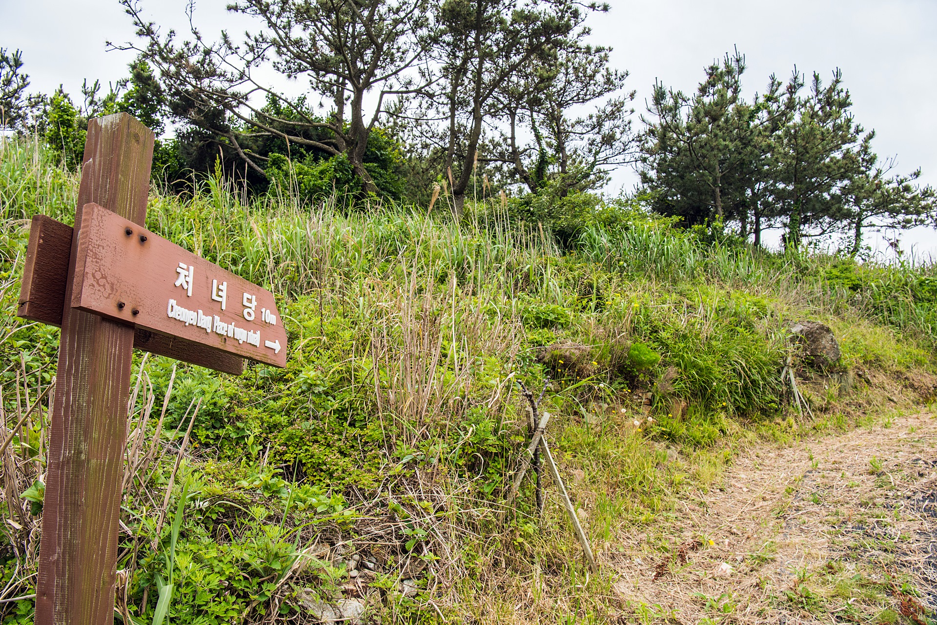 메인액티비티유닛