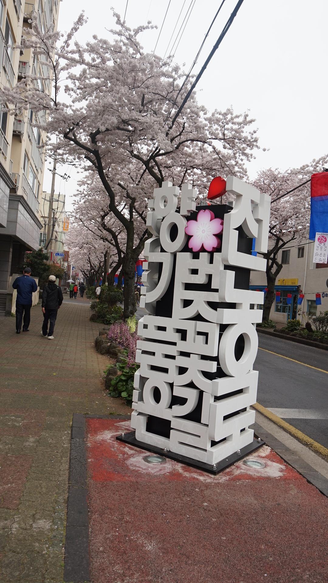 Jeju Cherry Blossom Festival