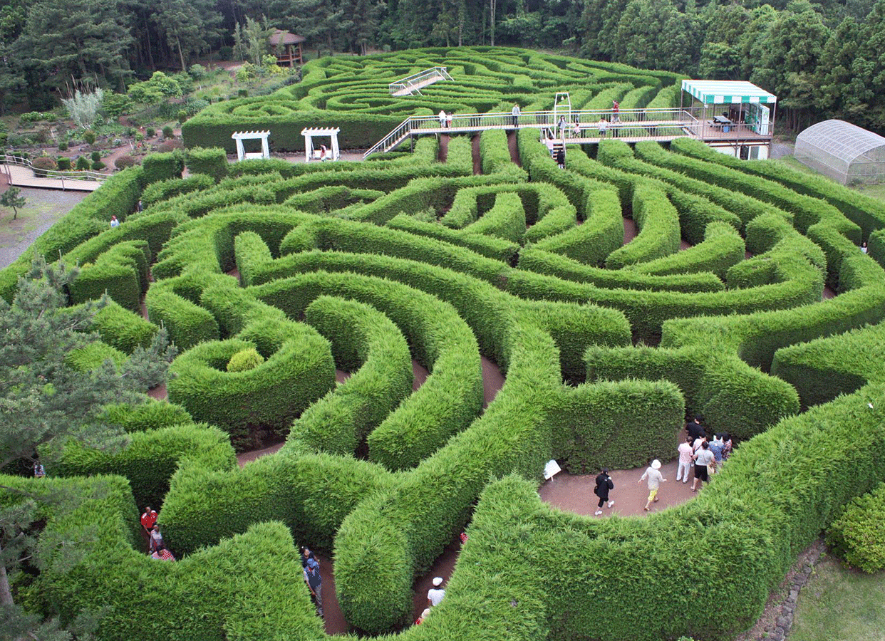 Kimnyoung Maze Park