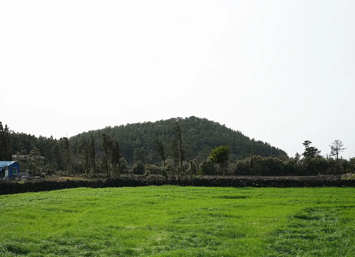 거린오름 (북오름)
