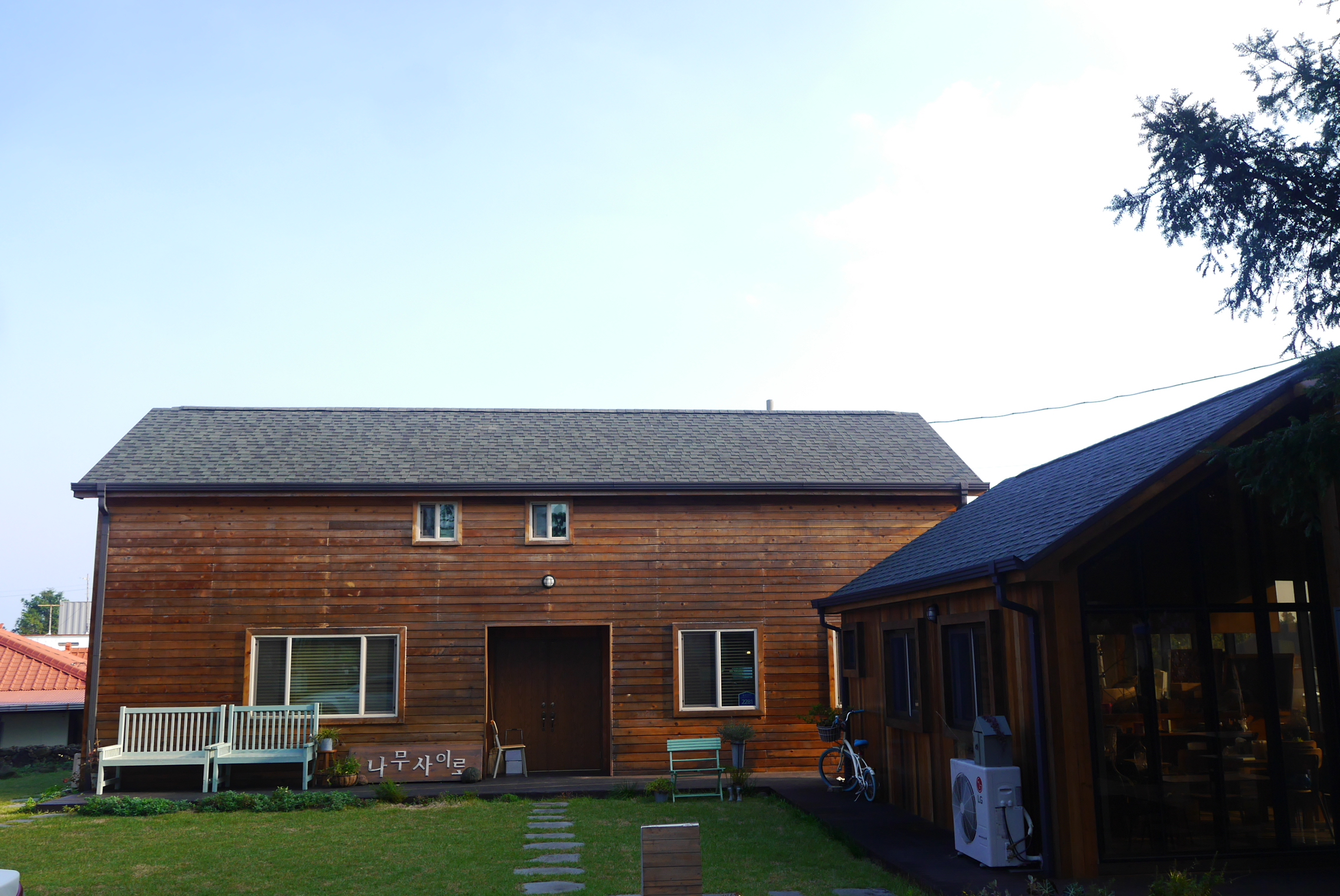 나무사이로햇살이