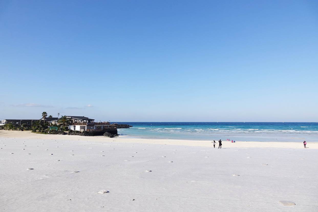 ํจ๋ํด์์์ฅ