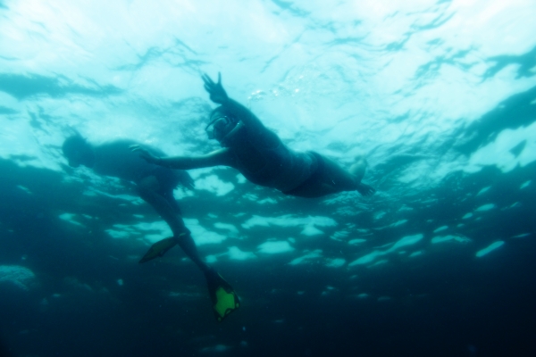 Chagwido Island Glass Yacht