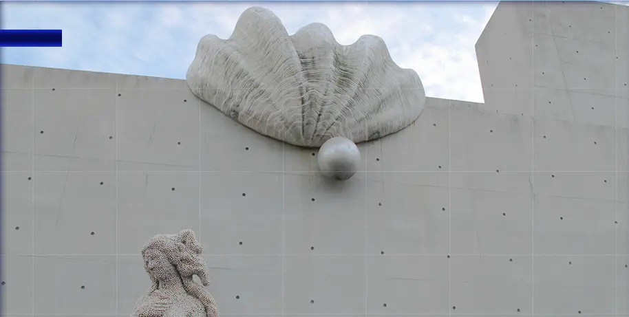 Visit Jeju : 世界貝殻博物館