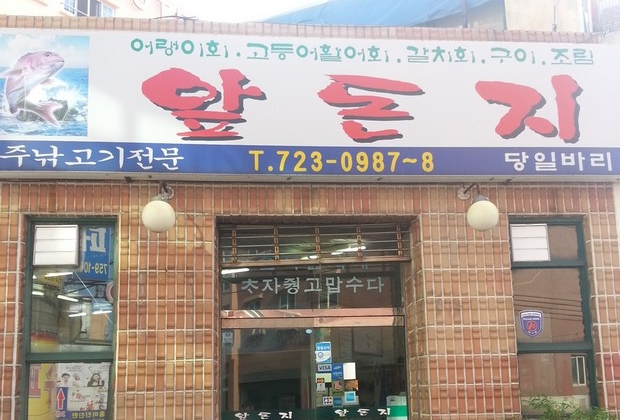 앞돈지