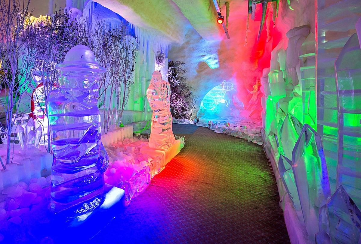 수목원테마파크_2025.11.11 영업종료(리모델링공사) / 2026.03.01 재오픈 예정