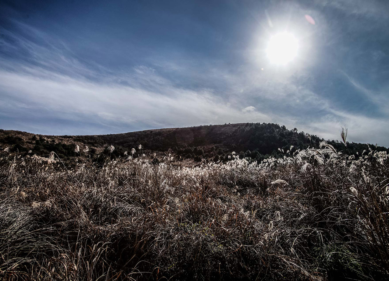 Jeongmul Oreum Volcanic Cone