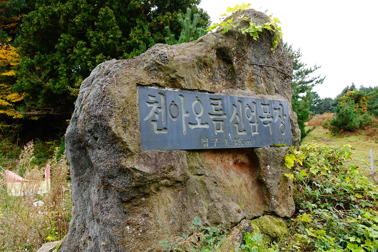 천아오름(틍낭오름,天娥岳)