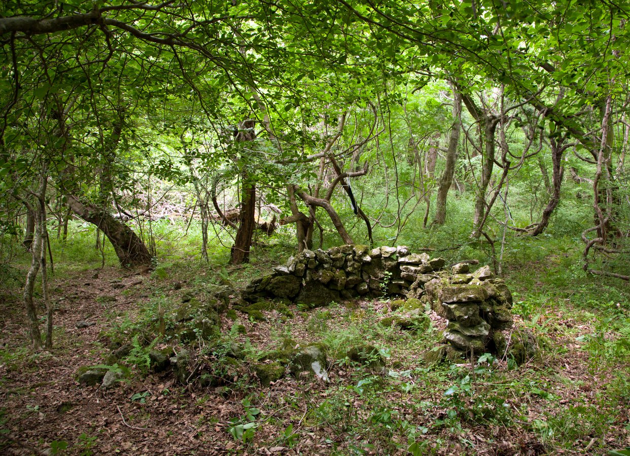 Idukgu Mountain Hideout