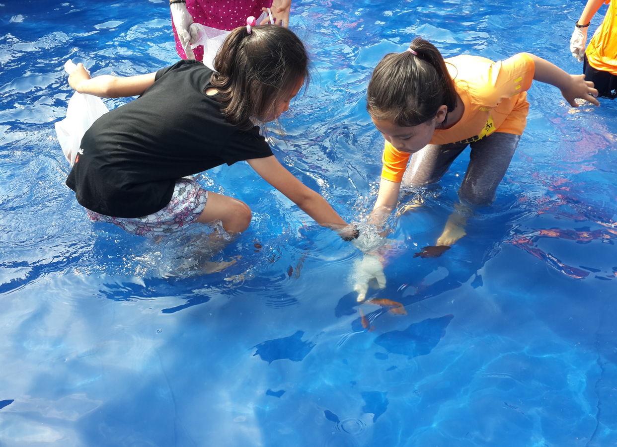 제17회 보목자리돔축제