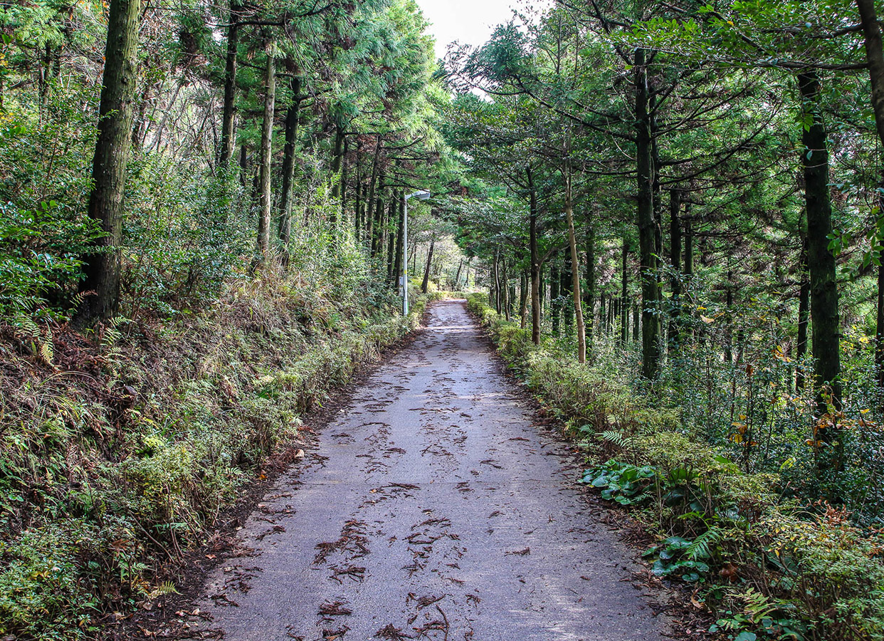 고근산(고공산)