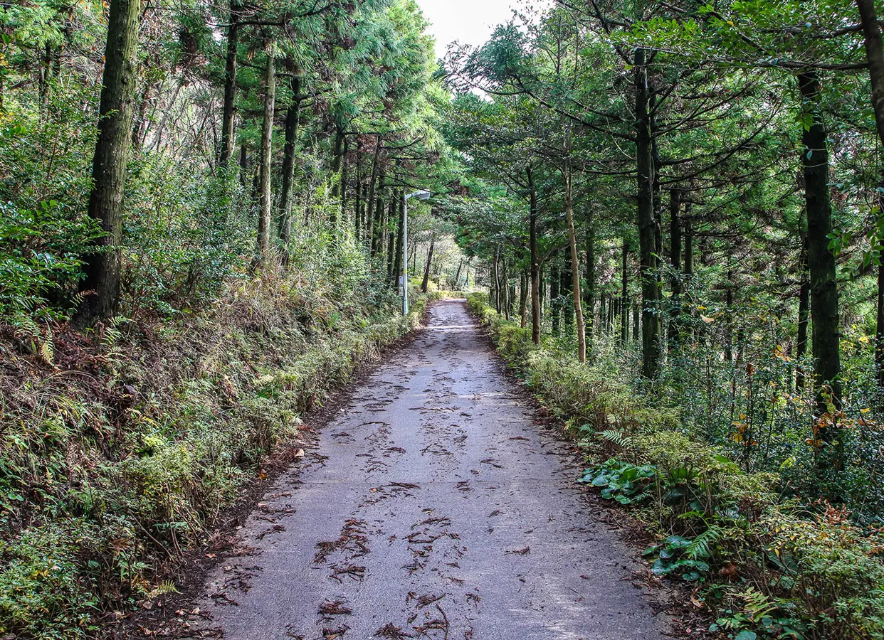 고근산(고공산)