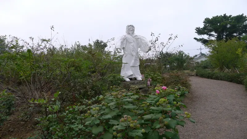 제주성서식물원 비블리아