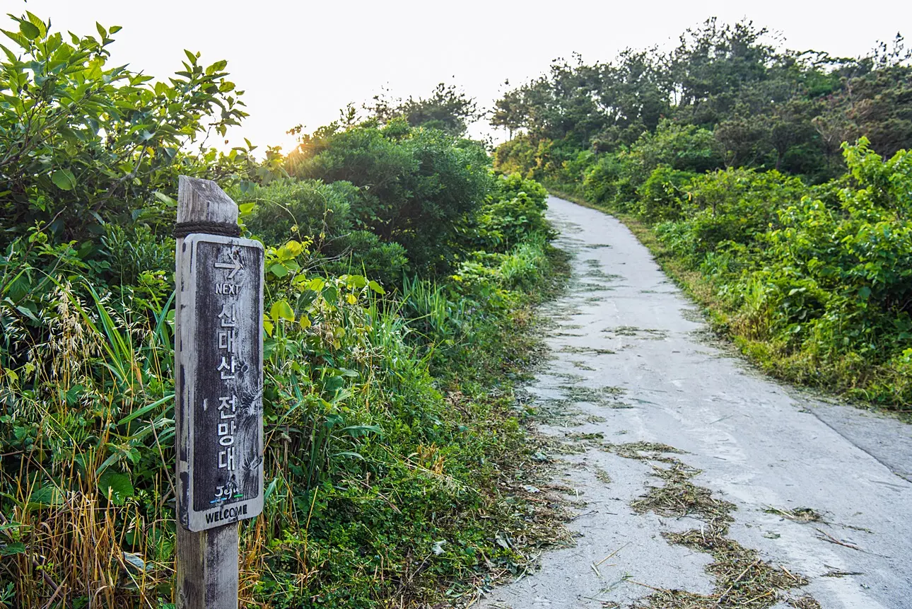 신대산전망대