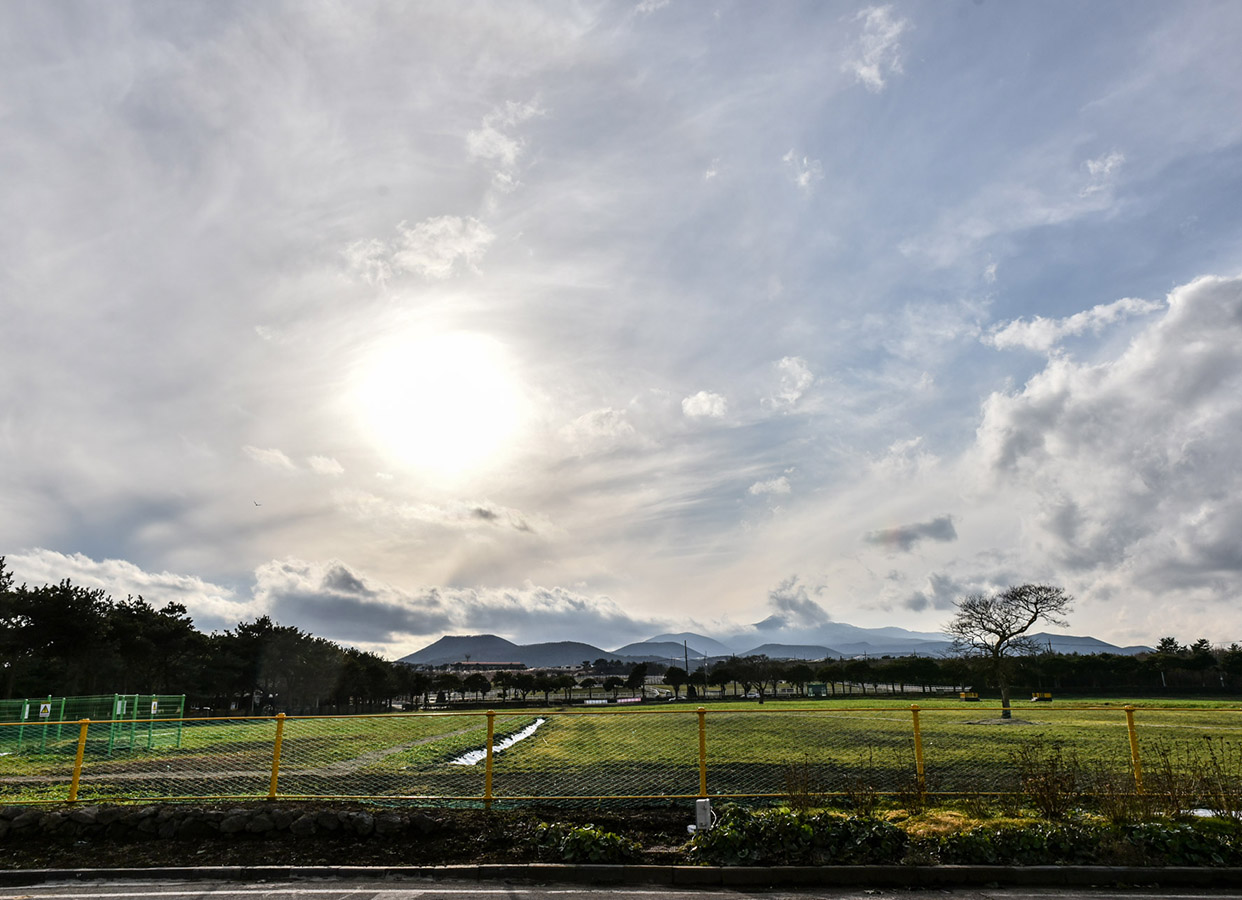 토종닭유통특구교래삼다수마을