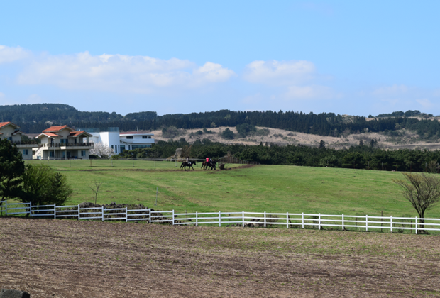어승생승마장 Horseland Jeju