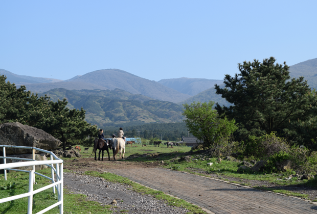 어승생승마장 Horseland Jeju