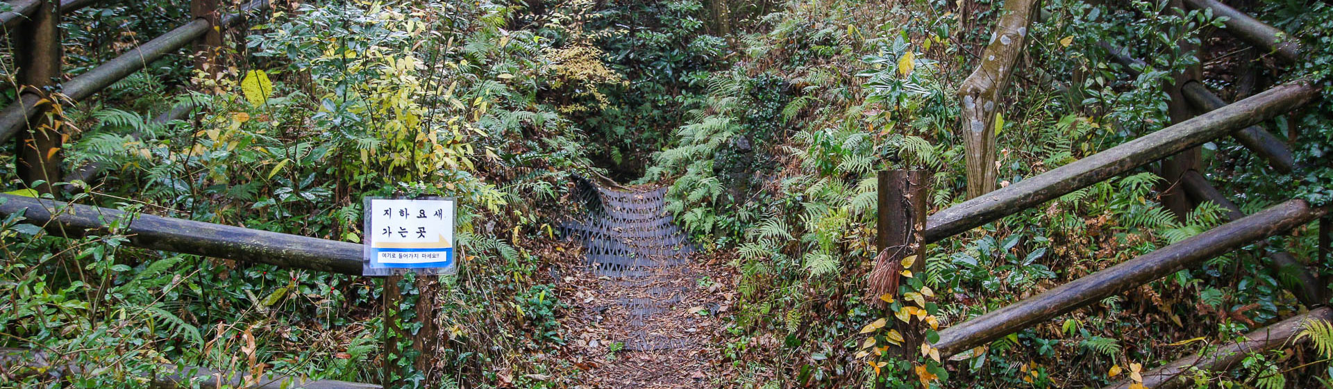 가마오름 진지동굴