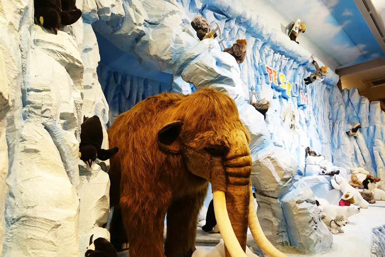 ของจัดแสดงภายใน Teddy Bear House Teseum ที่ Jeju