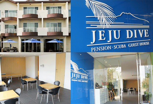 다이브게스트하우스