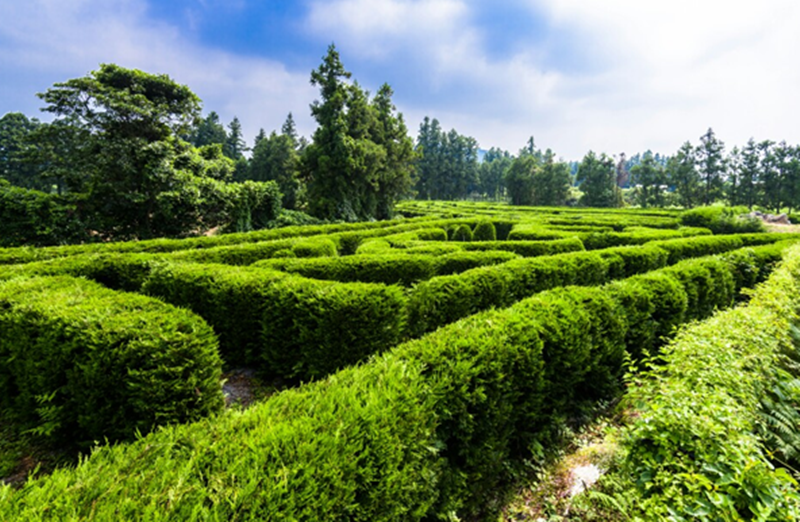 Jungmun Maze Park