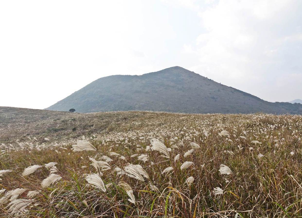 Darangswi Oreum Volcanic Cone (Wollangbong)