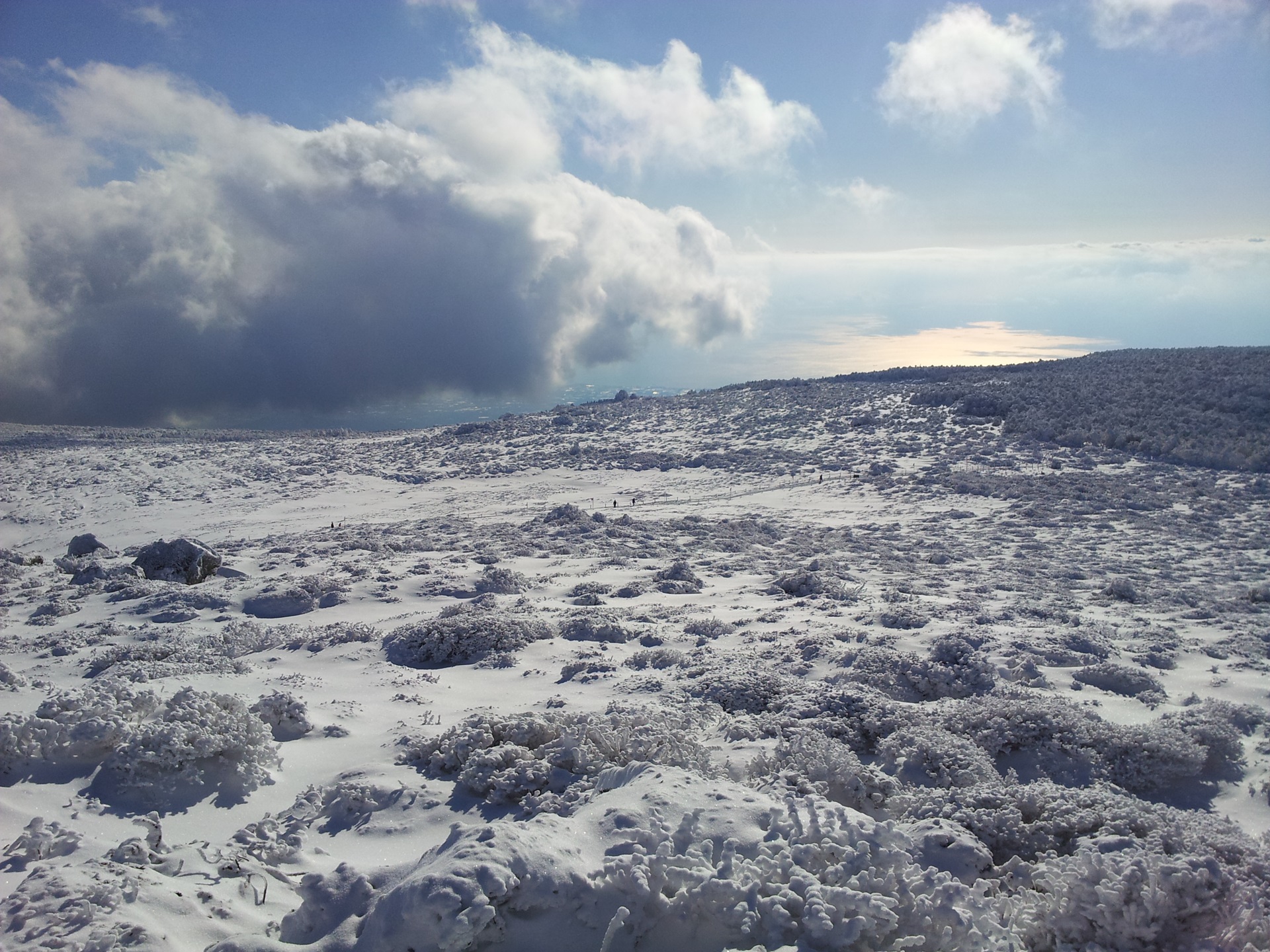 윗세오름(웃세오름)