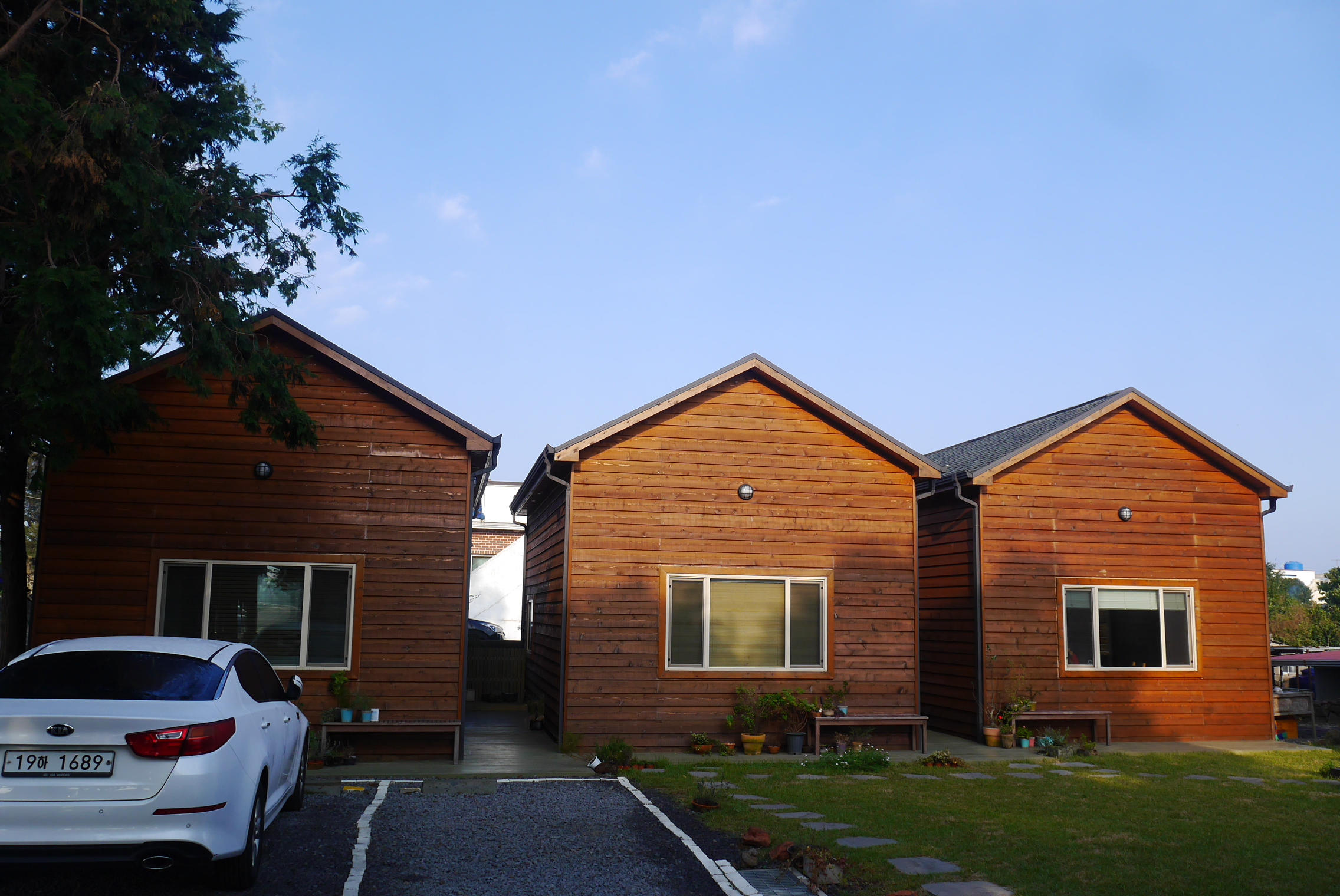 나무사이로햇살이