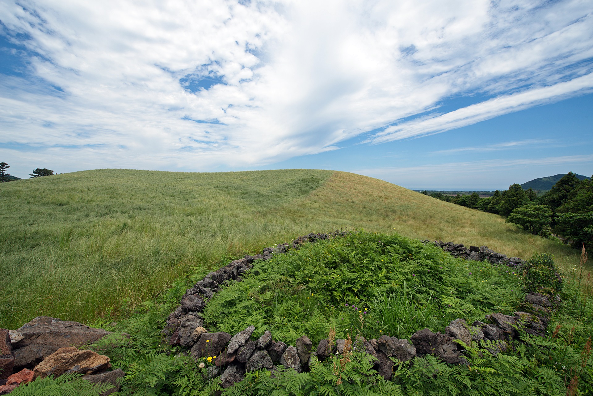 알진오름(안친오름)