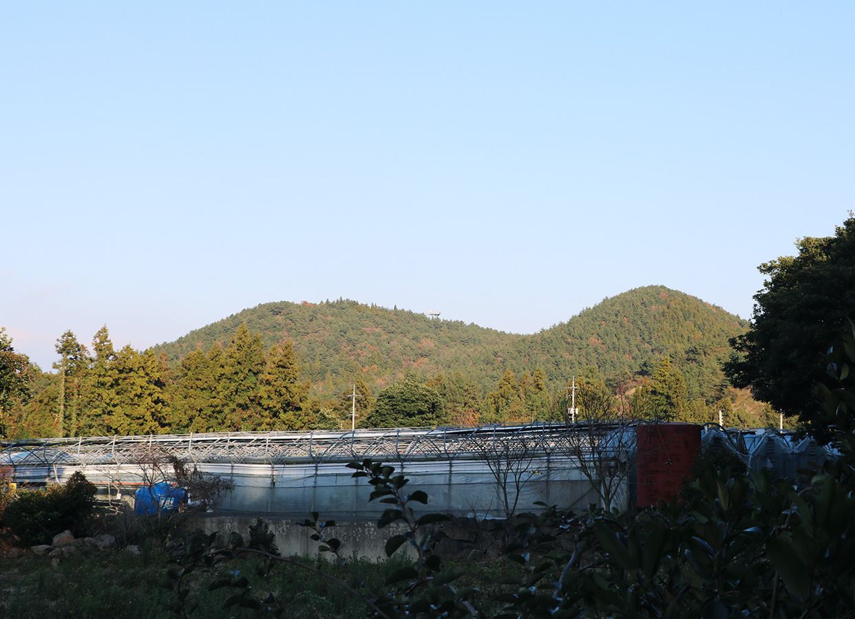 Gase Oreum Volcanic Cone